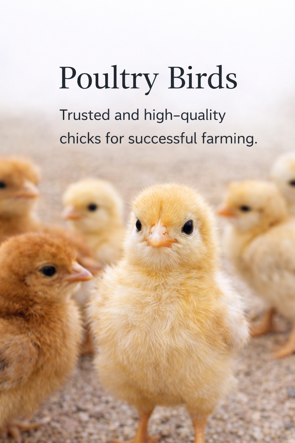 ChatGPT Image Mar 10, 2026, 12_51_55 PM