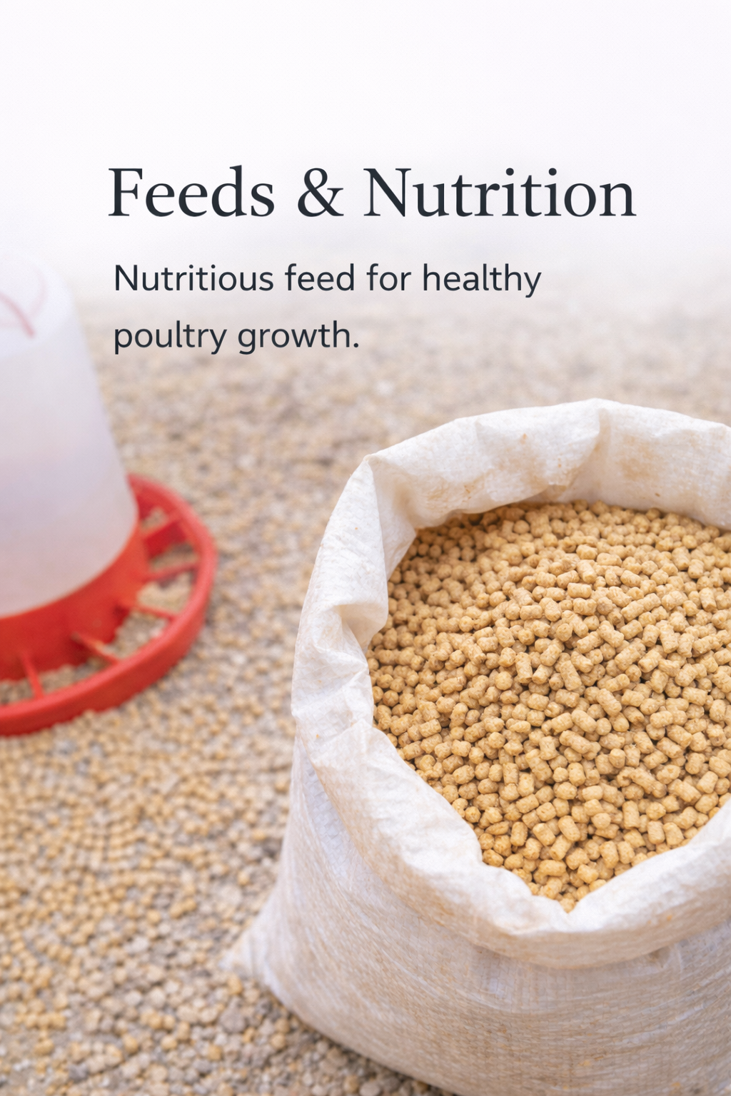 ChatGPT Image Mar 10, 2026, 12_57_21 PM