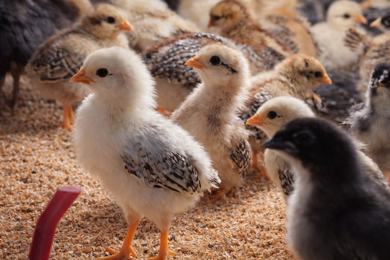 file_000000003e40720790d50a3c480bca6f